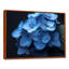 Nirvana bleu, bleu, hortensia, art mural-337178048-337178066