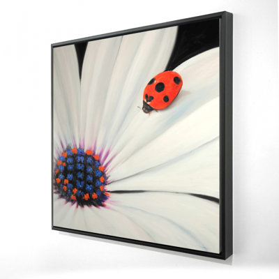 " White Daisy And Ladybug "