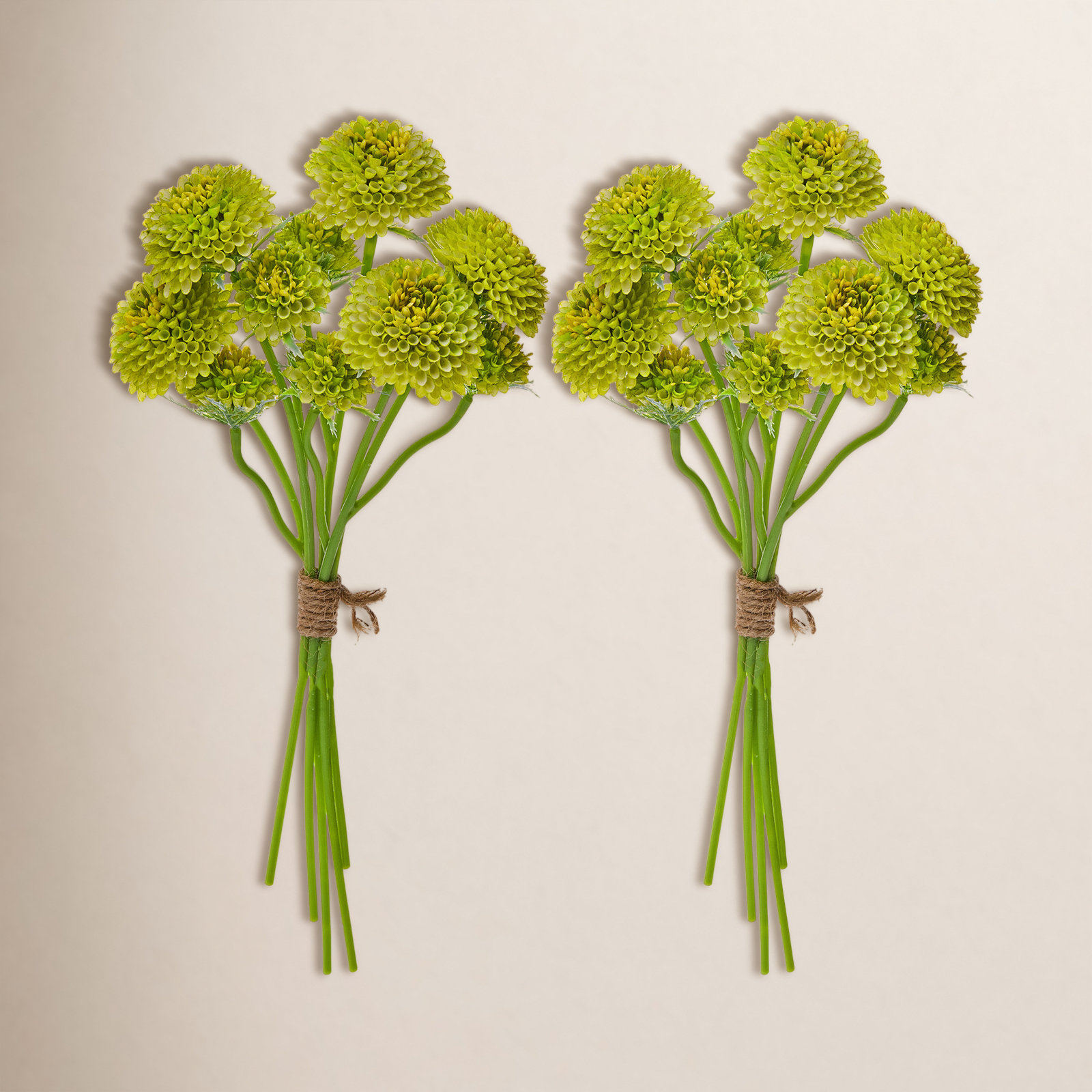 Scabiosa Floral Stems, Green