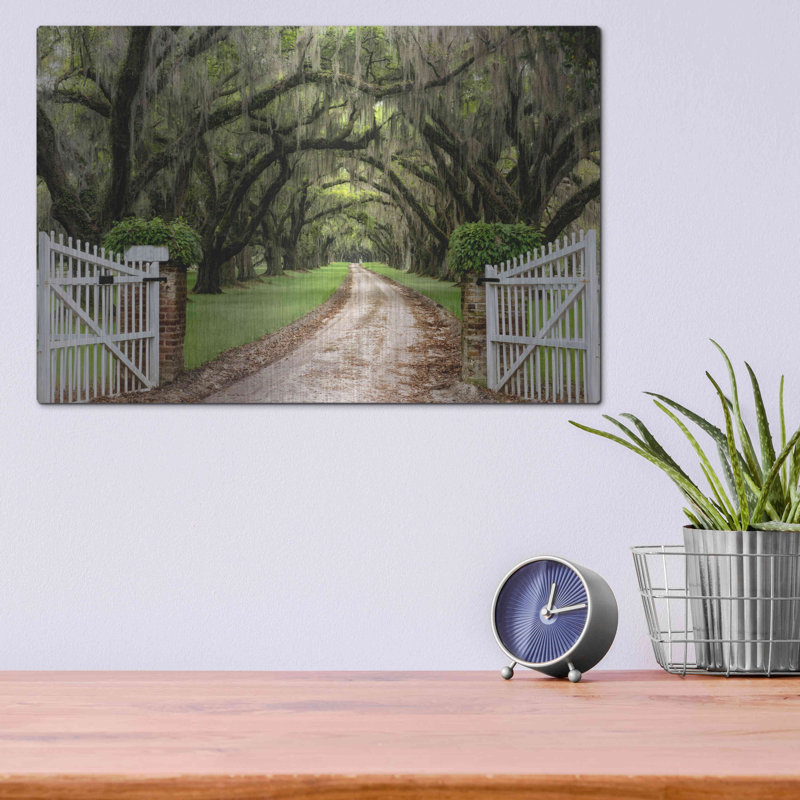 Plantation Road par Daniel Burt - Photographie sans cadre sur métal, H 12 po x l 16 po x P 0,13 po