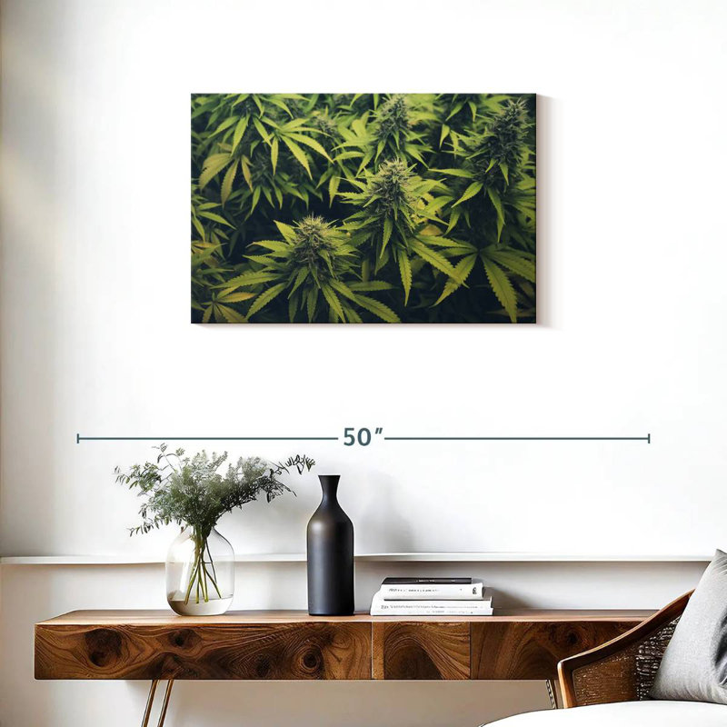 Jardin de bourgeons de marijuana, H 20 po x l 30 po