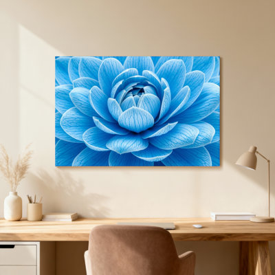 Plantes et fleurs, motif de pétales de fleurs bleues