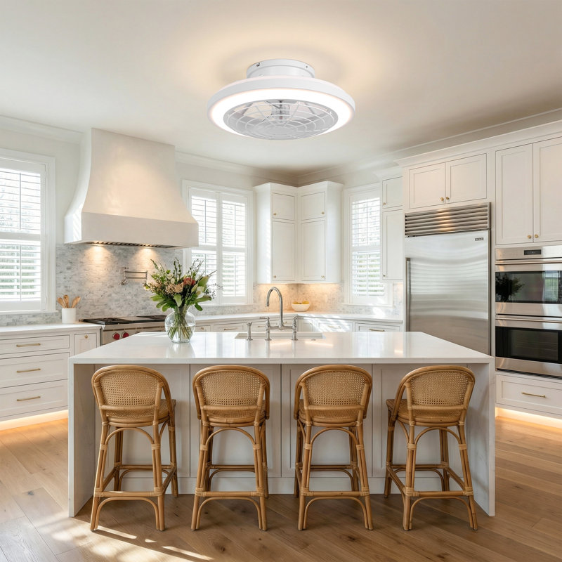 Ceiling Fan with LED Lights