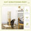 Latonya Scratching Post-189883569