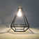Indoor 10 - Bulb 72'' Battery Powered LED Novelty String Light