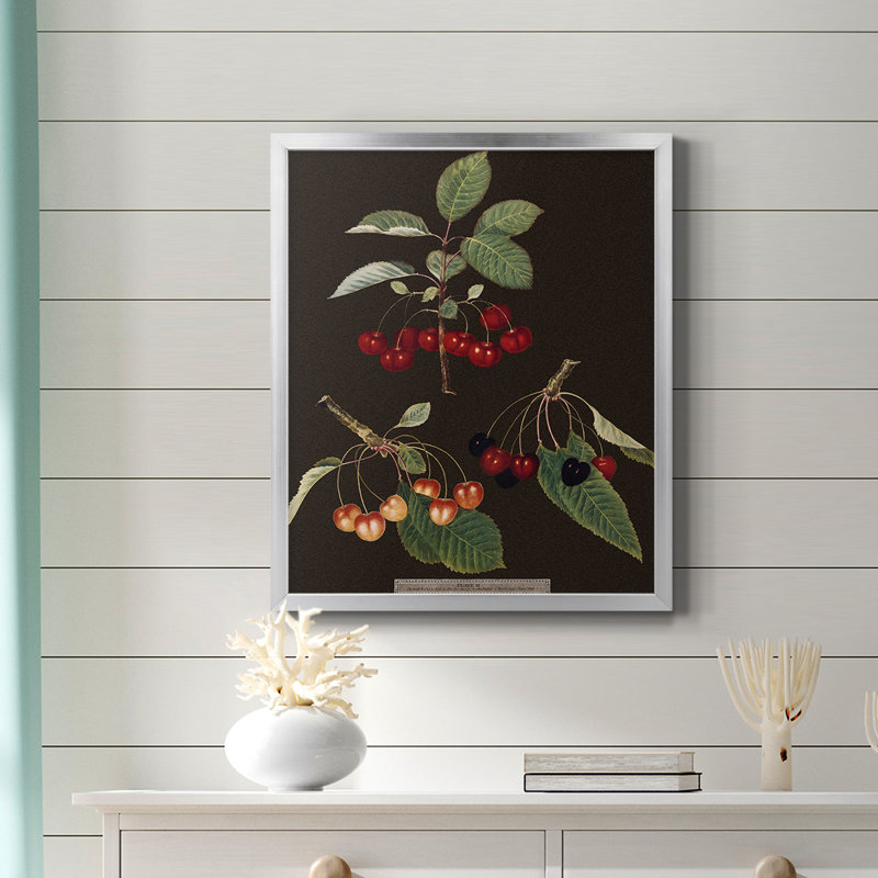 Toile encadrée de qualité supérieure Brookshaw Cherries, H 24 po x l 20 po, Argent