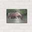«Assateague Horse» par Lori Deiter-101616472