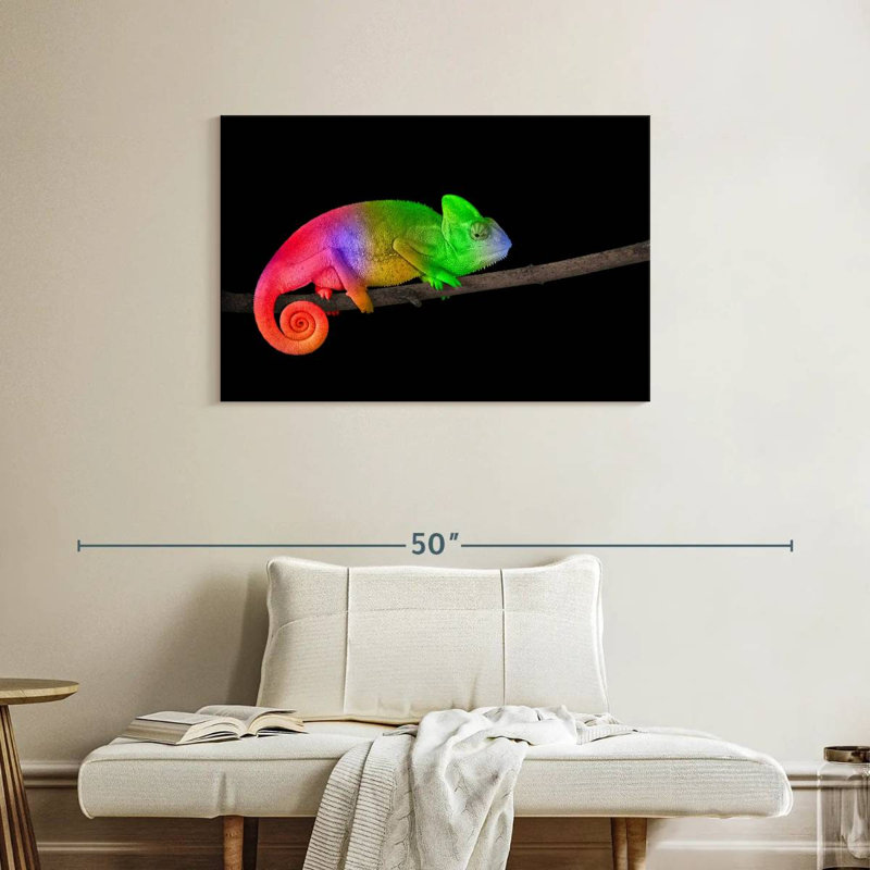 Caméléon à dégradé de couleurs Brampt, H 24 po x l 36 po
