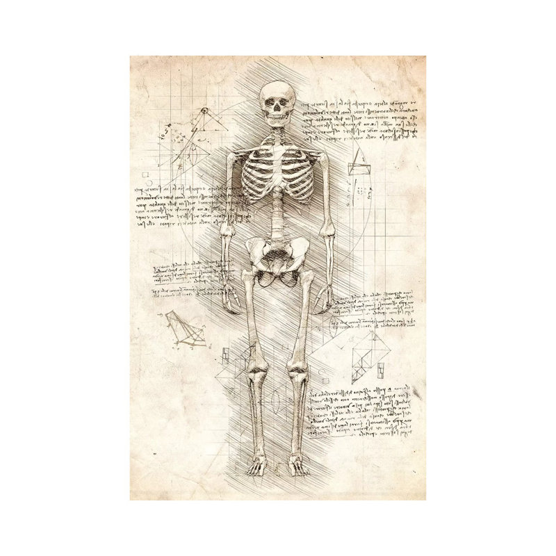 «Humain squelette» par Corinne, impression sur toile tendue, H 12 po x l 8 po x P 0,75 po