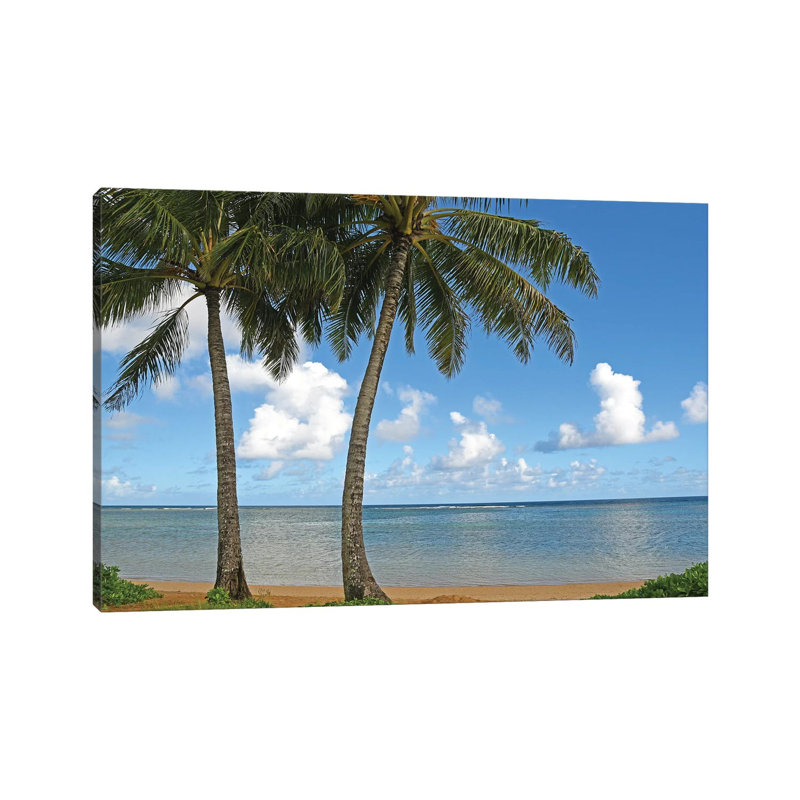 Tropical Paradise by Brian Wolf - Wrapped Canvas Print, 20.32cm H x 30.48cm W x 1.91cm D