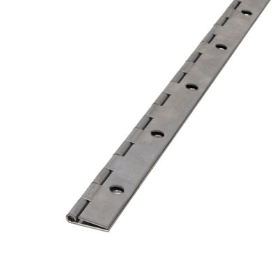 Stainless Steel Traditional Hinge