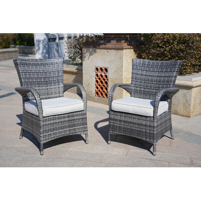 Medea 2Pcs Dining Chair With Cushions