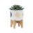 Includes plant rack flower pots