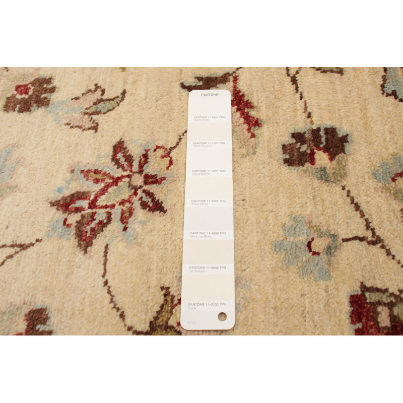 Tapis crème / rouge en laine noué à la main de conception unique nouvel âge 4 pi 1 po x 6 pi 4 po Horance