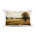 Brun paysage et nature 17