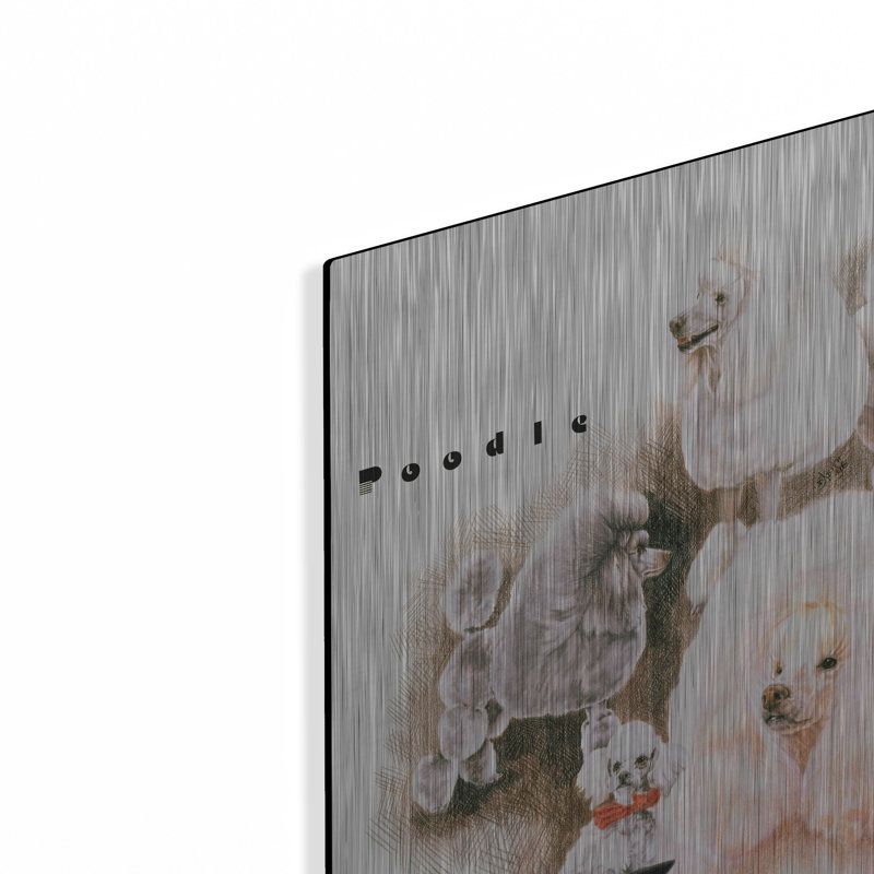 «Poodle 2» par Barbara Keith, H 16 po x l 12 po