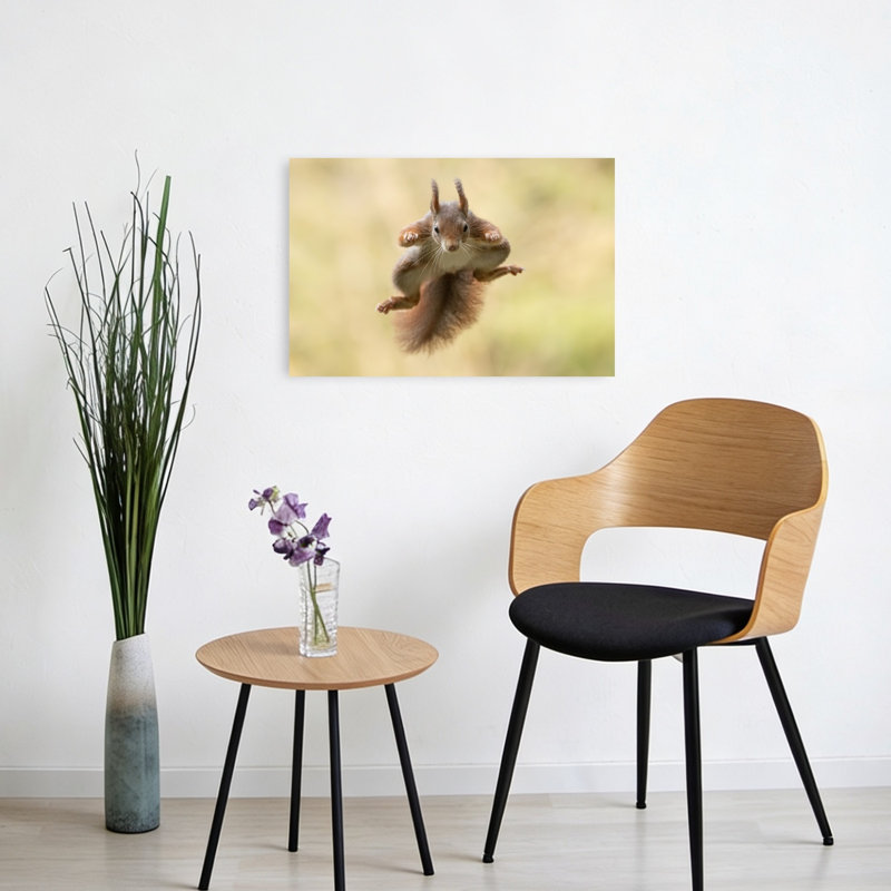 «Red Squirrel Mid-Air Energetic Playful Contemporary Squirrel Forest Nature», reproduction d'art, 16" H x 24" W