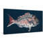 Wrapped Canvas Painting-19004941