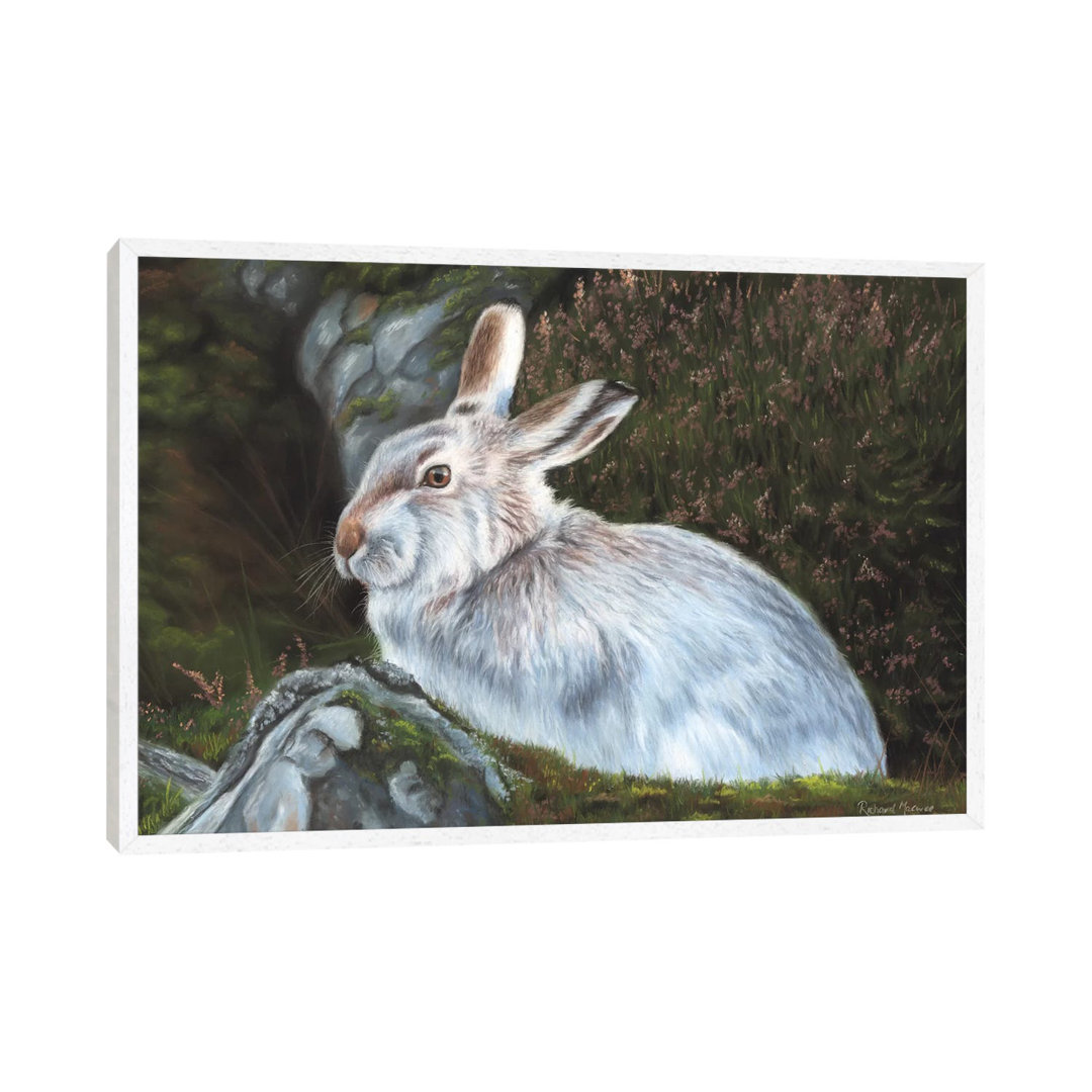 Hase von Richard Macwee - Galerie-verpackte Leinwand Giclée auf Leinwand