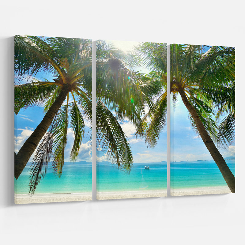 Palm Hanging Over Sandy Beach Coastal Canvas Print