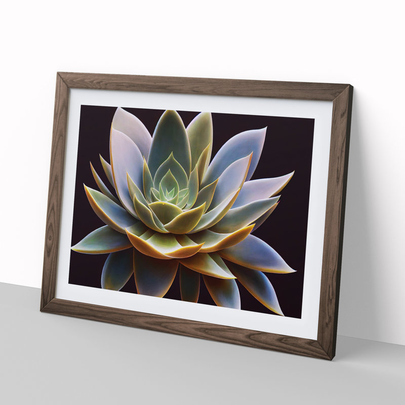 Compelling Succulent Plant - Framed Print, 46cm H x 64cm W x 2cm D, Walnut