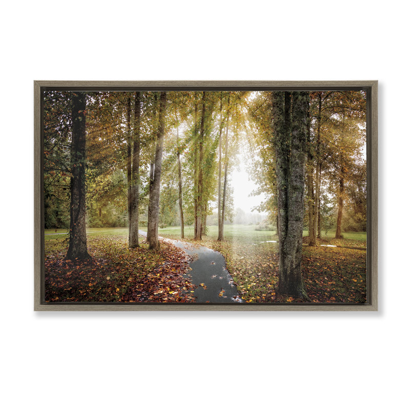 Cadre flottant «Follow The Light Forest Path», conception par la galerie Celebrate Life, H 17 po x l 25 po