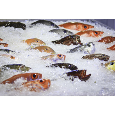 Fresh Colorful Tropical Fish At The Market, Taiwan by WEKWEK - No Frame Art Prints on Canvas