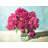 Fuchsia Peony Print On Canvas