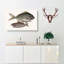 Pork Fish And Schoolmaster Fish by Mark Catesby - Wrapped Canvas-55322292