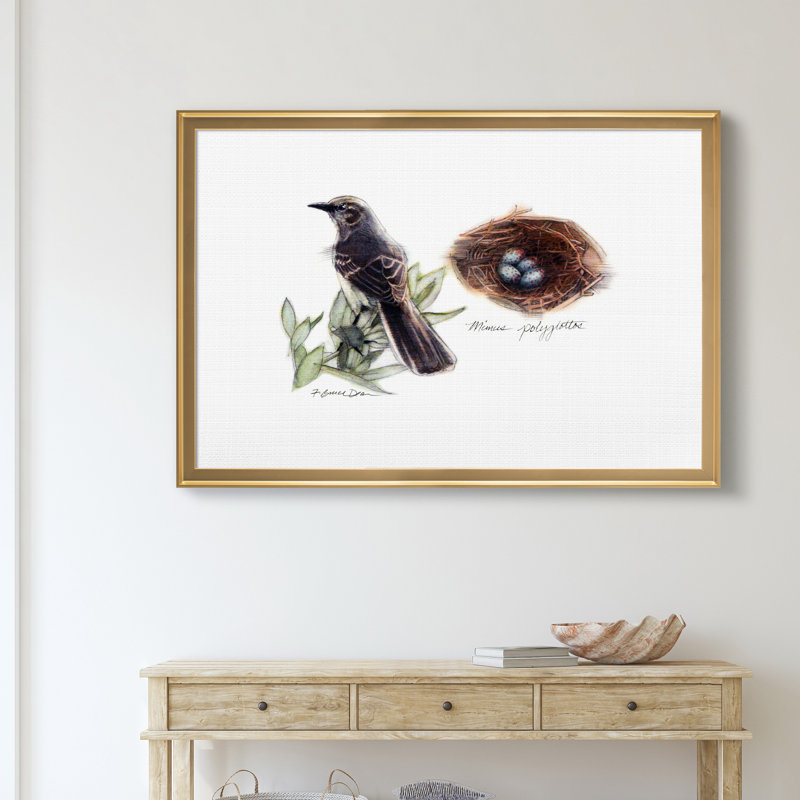 «Bird and Nest Study I», impression sur toile encadrée, Doré, H 26,5 po x l 36,5 po x P 1,5 po
