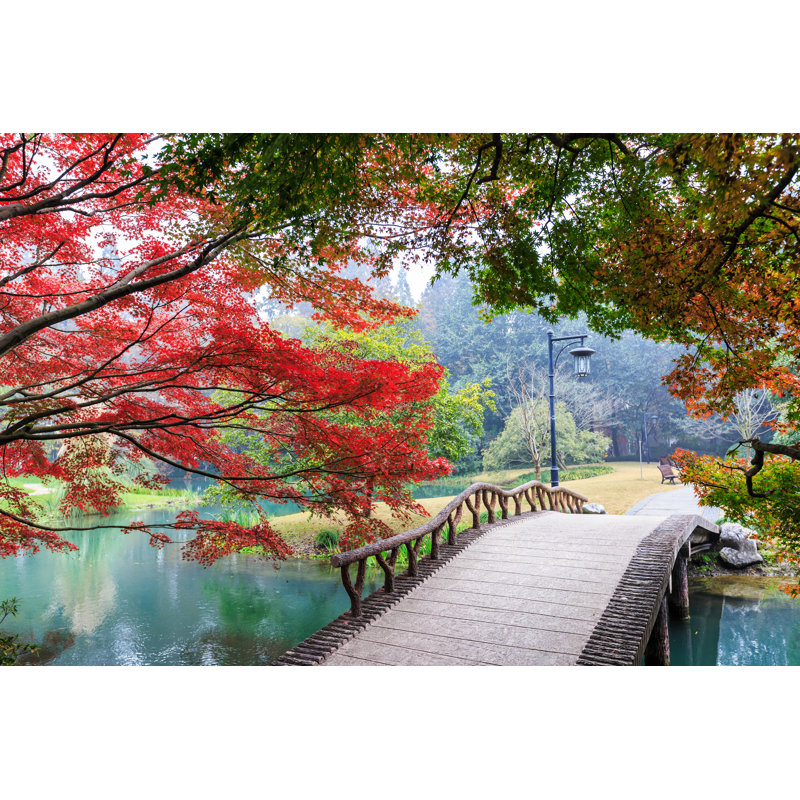 Beautiful Park In Autumn by Zhaojiankang - Wrapped Canvas Print, 30cm H x 46cm W x 3.8cm D