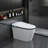 Smart Bidet Toilet with Instant Warm Water Sprayer and Dryer, Auto Flush /Foot Sensor Operation, LED Display