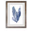 « algues under water iv »-cadre photo imprimé sur verre-302776091-302776088