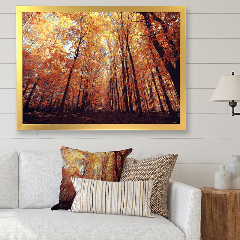 Mystic Yellow Fall Forest III - Art mural sur toile traditionnel, Cadre photo doré, H 12 po x l 20 po x P 1 po