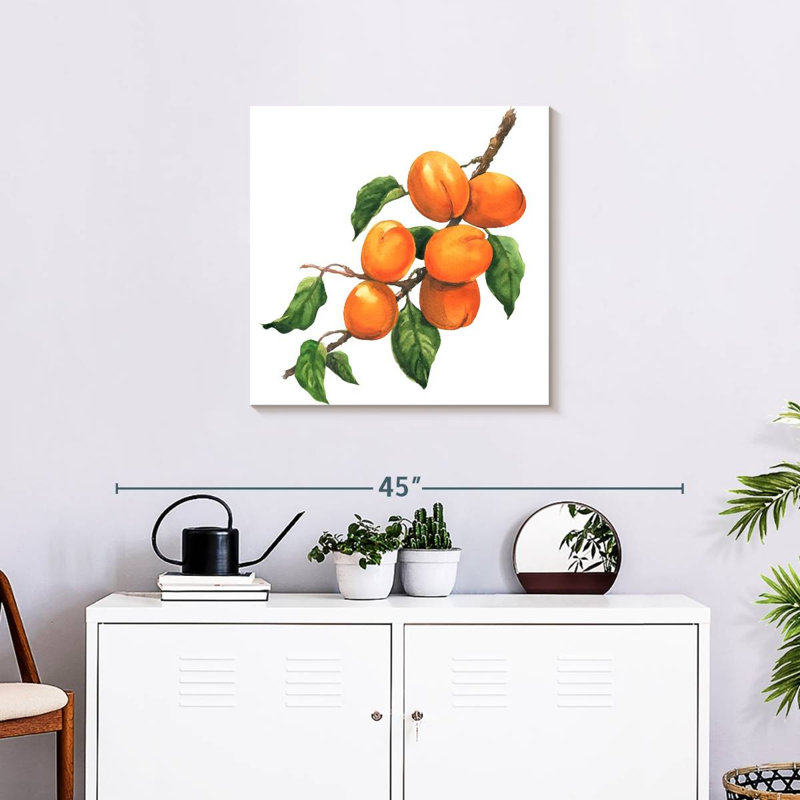 Abricots mûres Yarlin, H 24 po x l 24 po