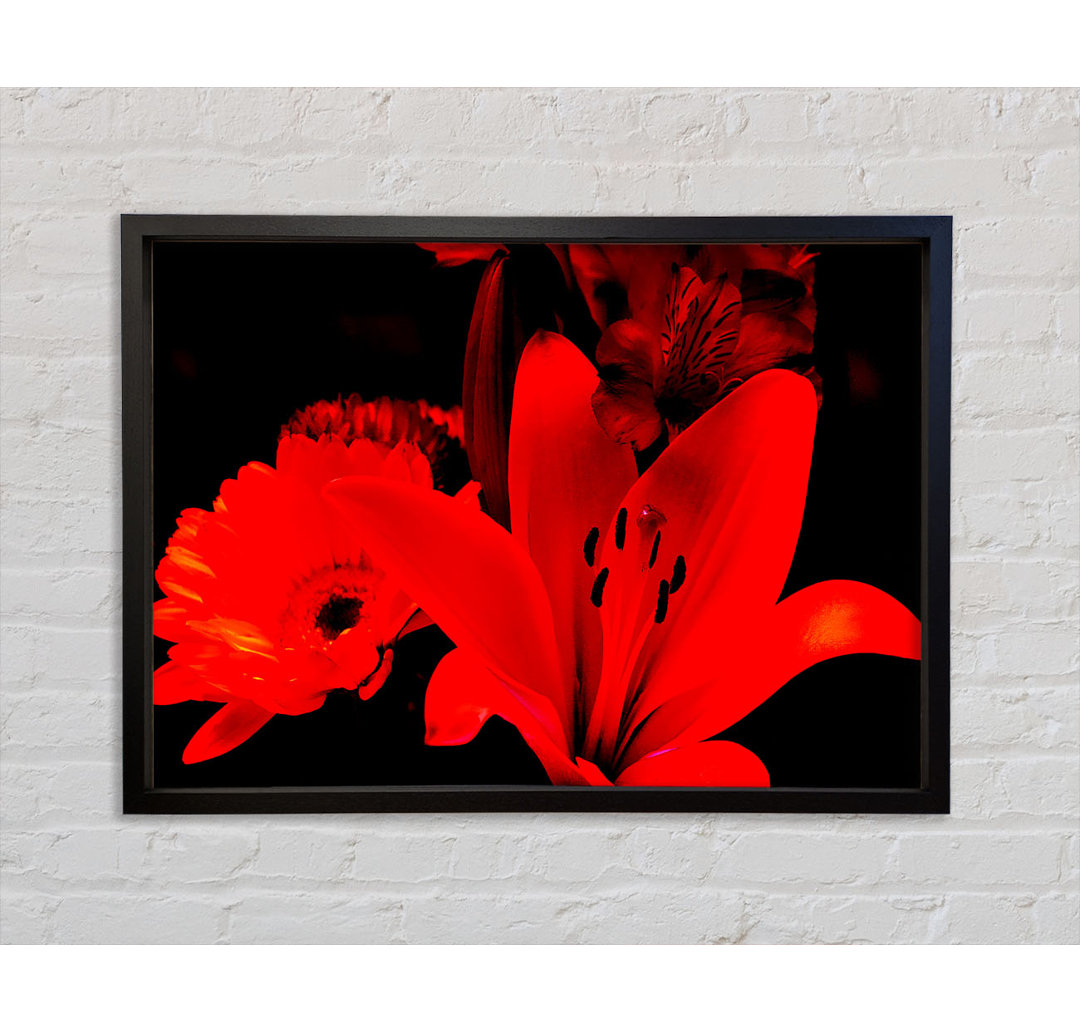 Infra Red Bloom - Einzelner Bilderrahmen Kunstdrucke auf Leinwand