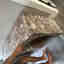 Photos des clients 1 de 1