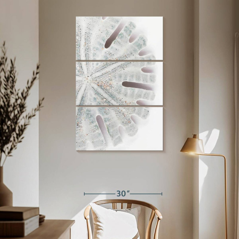 Brampt Florida Sand Dollar I, 65" H x 42" W