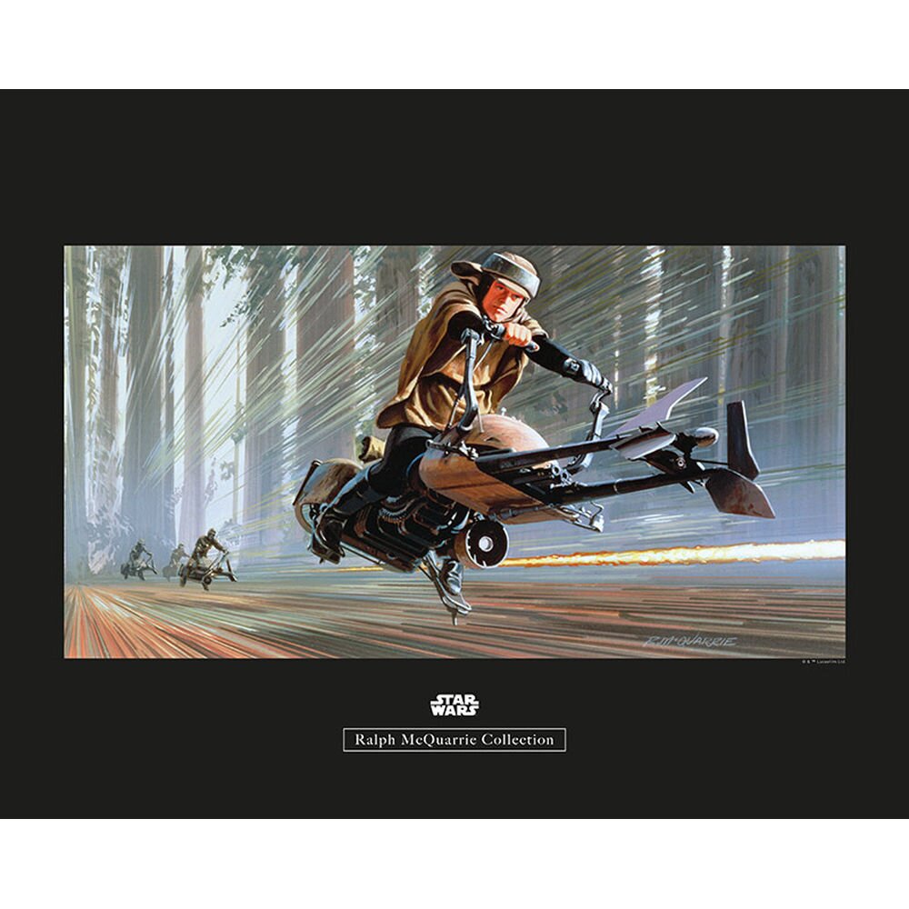 Poster Star Wars Rmq Endor Speeder