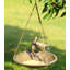 Lovebird Hanging Tray Bird Feeder