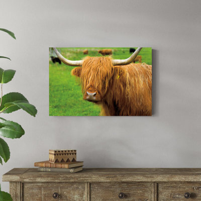 «Scottish Highland Catch I» par Alan Majchrowicz, reproduction de photo sur toile tendue