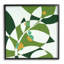Stupell Industries Botanical Abstract Leaf Framed Giclee Art Design By Liz Jardine-91299416