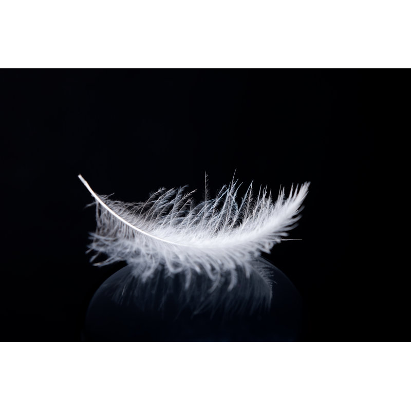 Light As a Feather by Georghanf, 12'' H x 18'' W