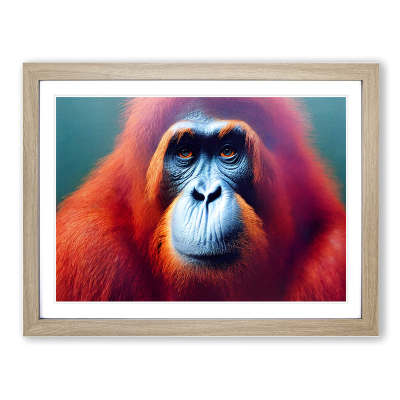 XH1022-8646X Superb Orangutan - Single Picture Frame Print, 25cm H x 34cm W x 2cm D, Oak