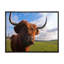 Portrait d'un yak - photographie sur toile-60162367-60162366