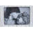 Lobos White Washed Matte Picture Frame