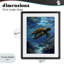 Oceanic Adventurer Tortoise Framed Print Under Glass, design by Franklyn Gregory-130831523-130831526