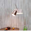 Dodo 1 - Light Pendant-1969753055-1969753051