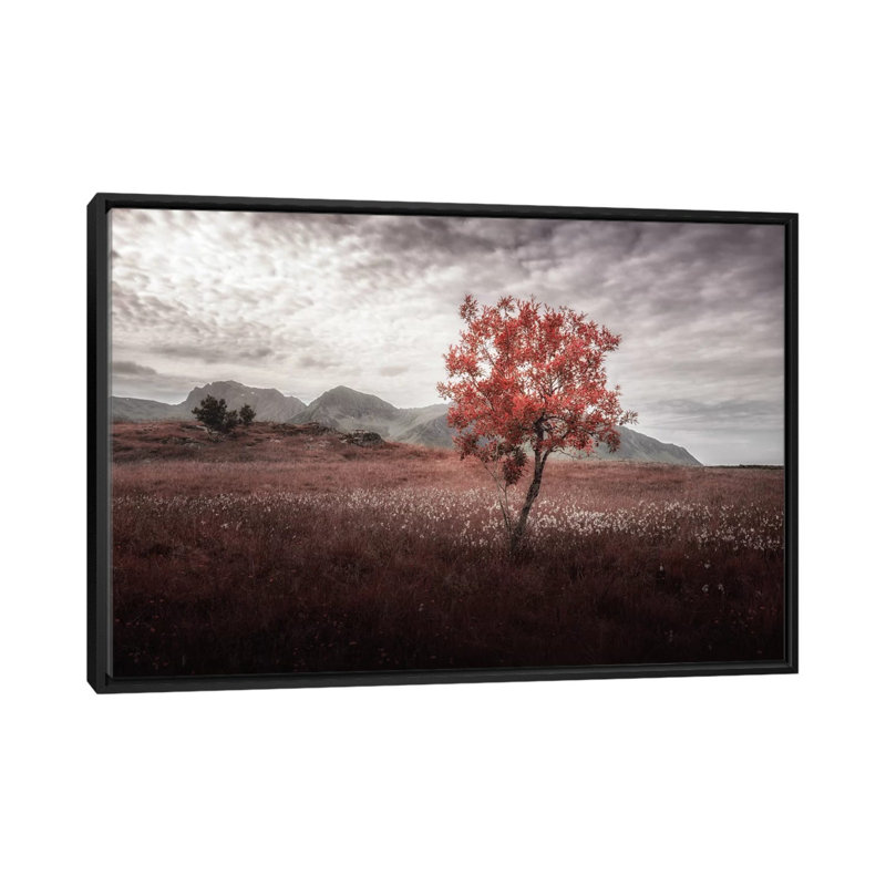 « rouille view », reproduction de photo sur toile, H 18 po x l 26 po x P 1,5 po, Toile avec cadre noir, Pas de tapis