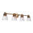 4 - Light Vanity Light